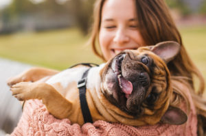 Can Owning a Pet Boost Your Mental Health - Lifeworks Counseling Center